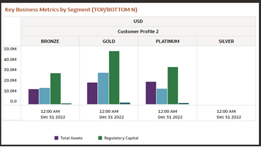 Report - Key Business Metrics by Segment (Top/ Bottom N)