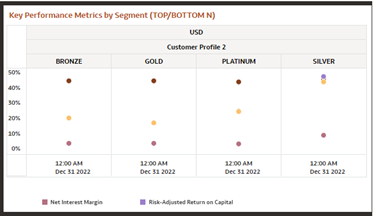 Report - Key Performance Metrics by Segment (Top/ Bottom N)