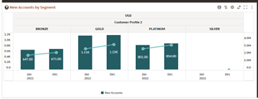 Report - New Accounts by Segment