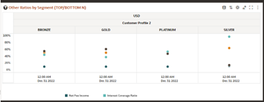 Report - Other Ratios by Segment (Top/ Bottom N)