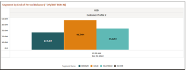 Report - Segment by End of Period Balance (Top/Bottom N)