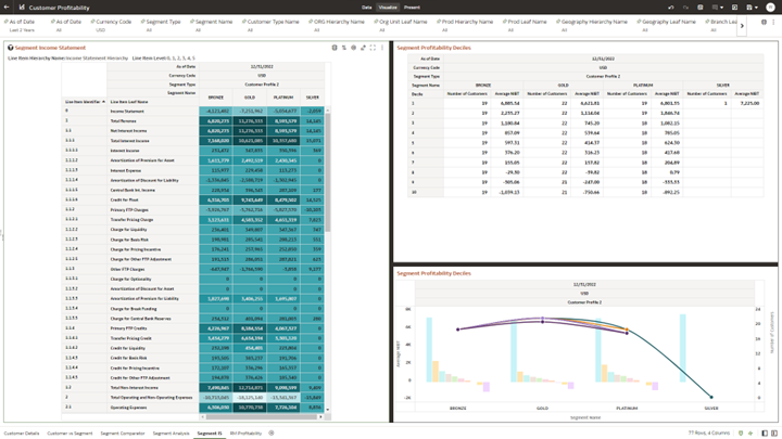 Canvas Segment Income Statement