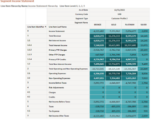 Report : Segment Income Statement