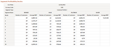 Table Segment Profitability Deciles