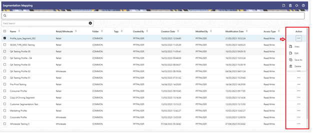 Segmentation Summary Table – Action Column