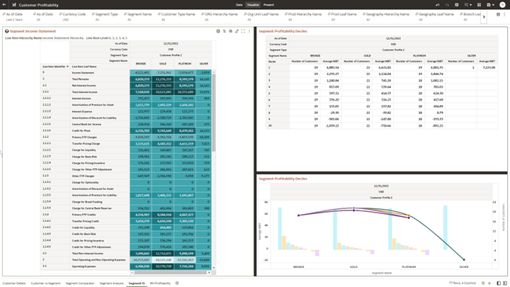 Canvas Segment Income Statement Canvas Segment Income Statement