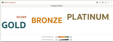 Target Cloud for Segment Type - Customer Profile 2
