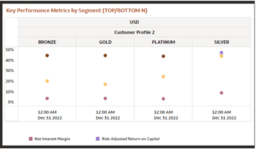 Report - Key Performance Metrics by Segment (Top/ Bottom N)