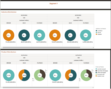Report Segment 1 - Industry and Product Distribution