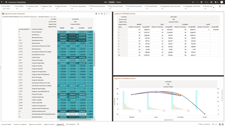 Canvas Segment Income Statement