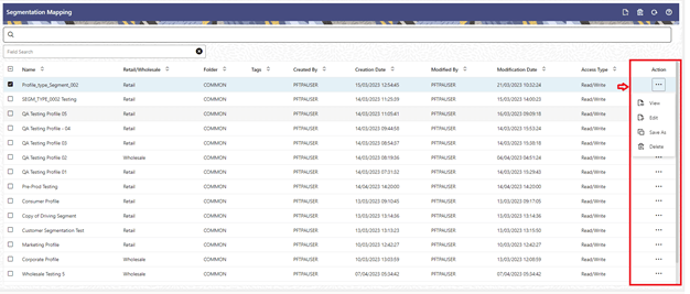 Segmentation Summary Table – Action Column Segmentation Summary Table – Action Column