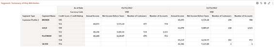 Report : Segment Summary Key Attributes Report : Segment Summary Key Attributes