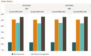 Report - Other Ratios Report - Other Ratios