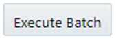 This image displays the Execute Batch button.