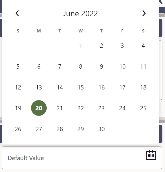 This image displays the Date Value.