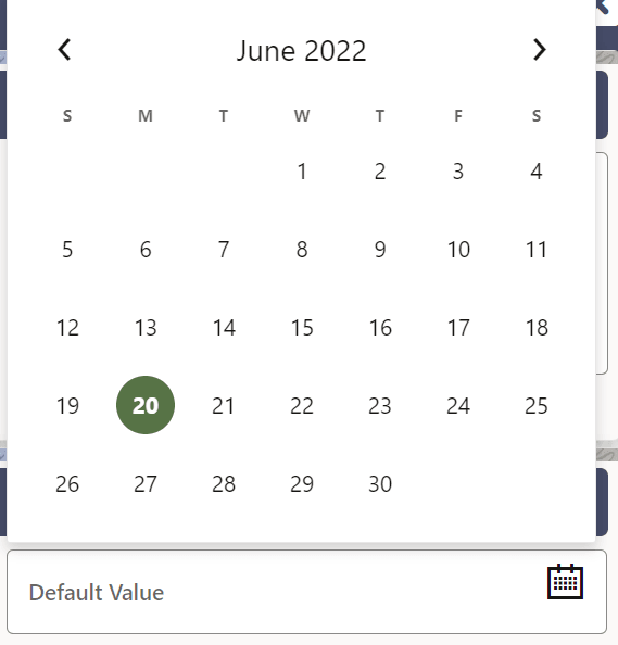 This image displays the Date Value. This image displays the Date Value.