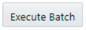 This image displays the Execute Batch button. This image displays the Execute Batch button.