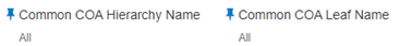 You can use this filter to select the Common COA Leaf Name that is related to the underlying management ledger data.