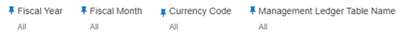 You can use this filter to select a specific Currency Code to be applied to the underlying Management Ledger data.