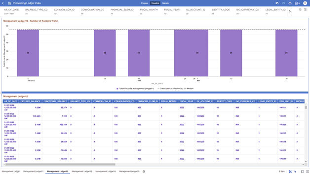 The Management Ledger02 Report provides the analysis capability on the Placeholder Management Ledger 02 Table.