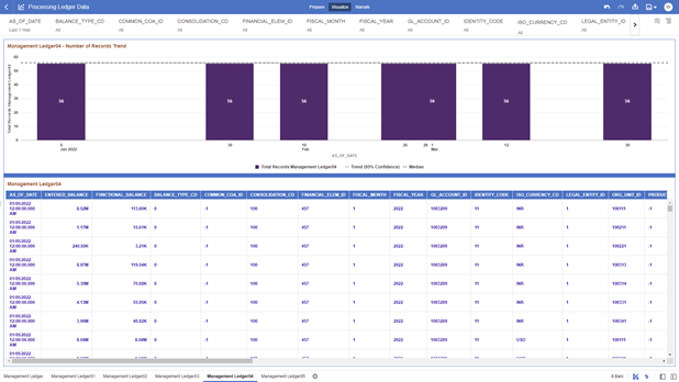 The Management Ledger04 Report provides the analysis capability on the Placeholder Management Ledger 04 Table.