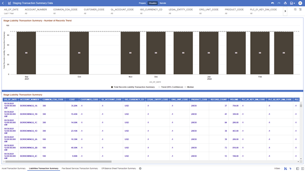 The Liabilities Transaction Summary Report provides the analysis capability on the Stage Liability Transaction Summary Table.