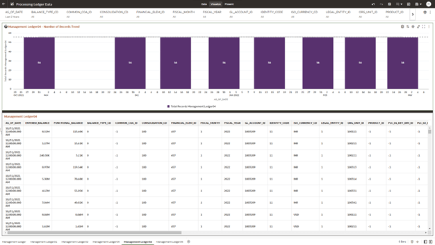 The Management Ledger04 Report provides the analysis capability on the Placeholder Management Ledger 04 Table.