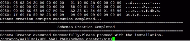 This illustration shows the successful Schema creation in the TCPS mode.