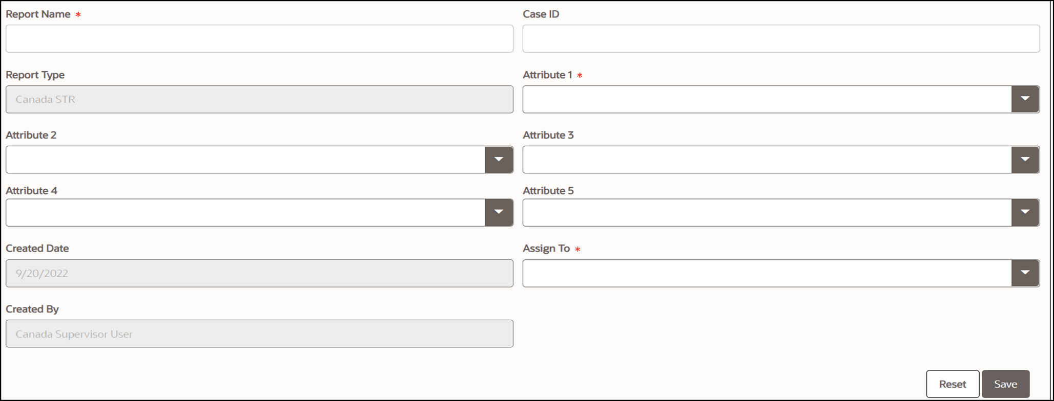Create a New Report