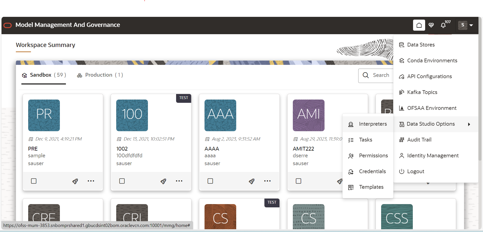 This image displays the Datastudio Options tab.