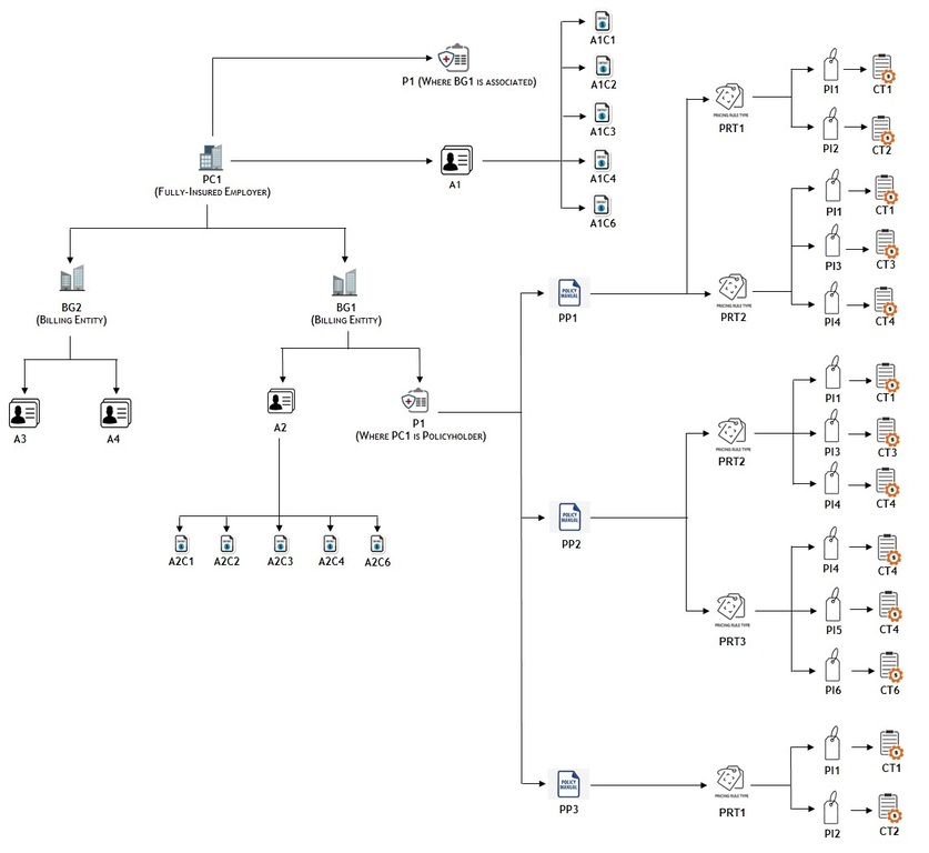 The figure illustrates how the contracts are created across the fully-insured group policies and plans for all accounts of a bill group.