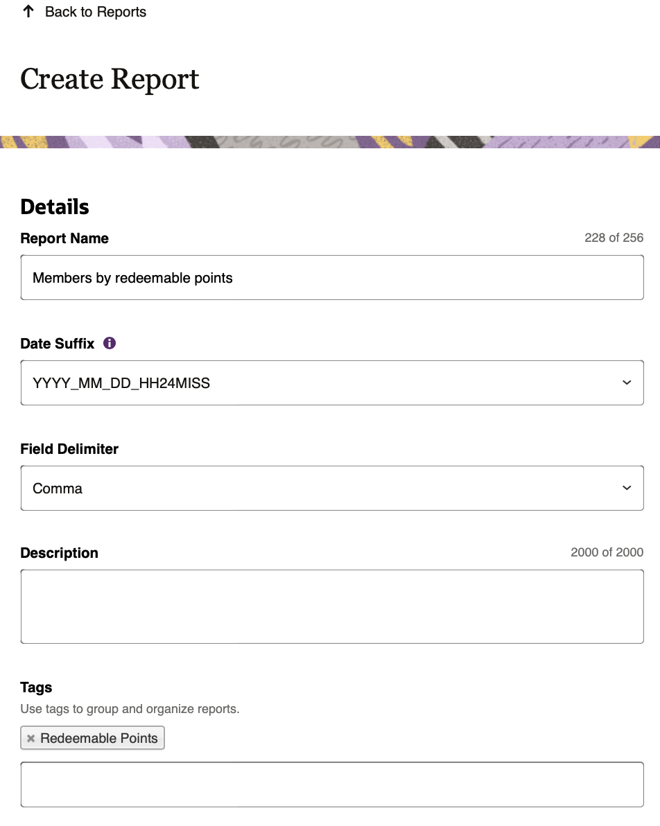 This image displays the Create Report section in Reports, showing the new tagging feature in the Details section.