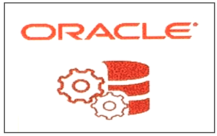 This figure shows the Oracle Workstation option.