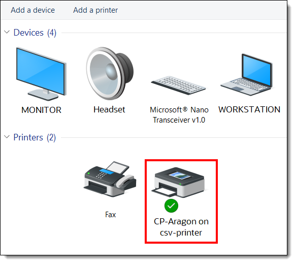 This figure shows the printer setup from a workstation.