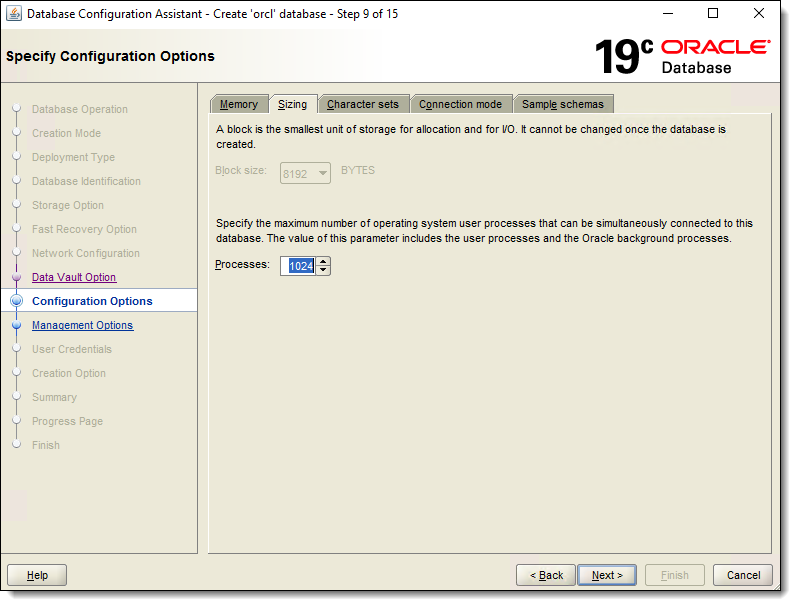 This figure shows the Specify Configuration Options window.