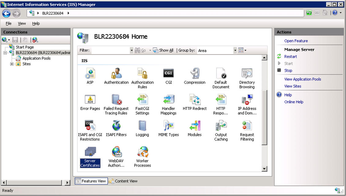 Internet Information Services (IIS) Manager screen