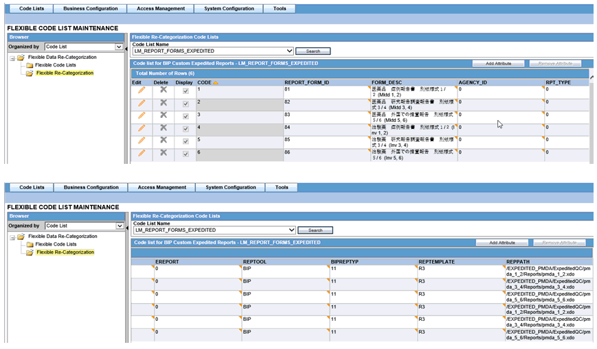 Flexible Code List Maintenance configuration screen