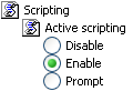 Scripting