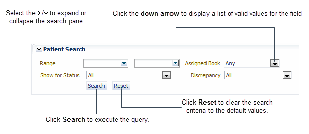 The Patient Search Pane on the Home Page