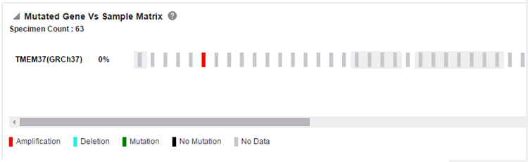 Image is a sample matrix report.