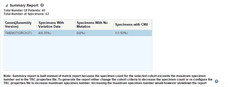 Image is a summary report.