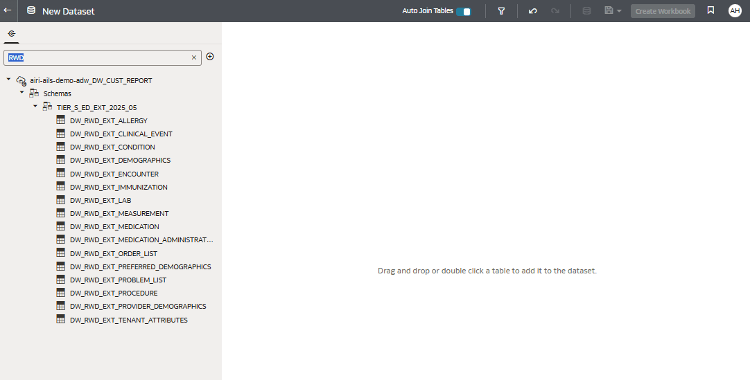 Dataset Schema