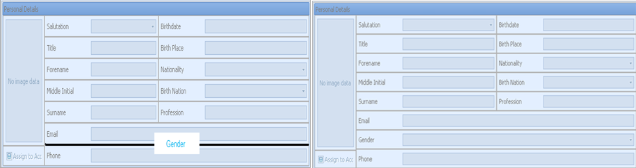 This figure shows the splitter location for a section/field in customized layout.