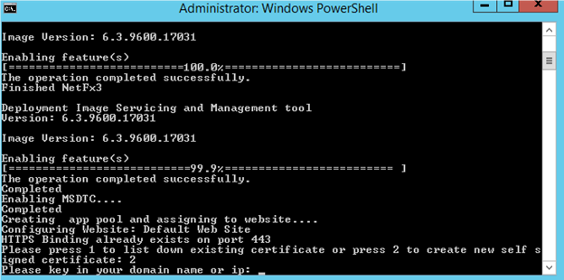 This figure shows the Option 2 – Required Domain Name and IP Address