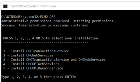 This figure shows the Webservices Install.bat options.