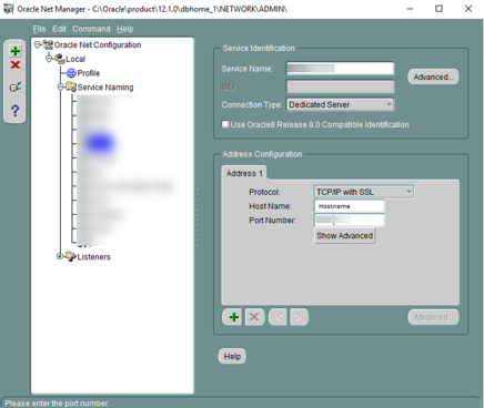 This figure shows the Net Manager, Service Name window.