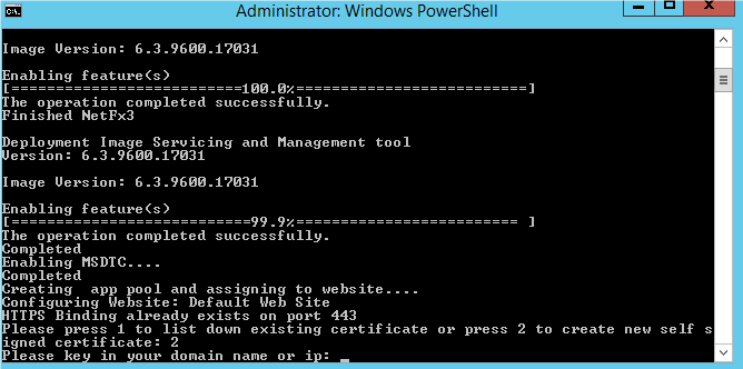 This figure shows the Option 2 – Required Domain Name and IP Address