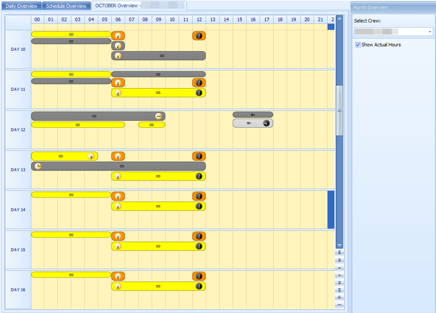 This figure shows the actual hours work in Monthly Overview.