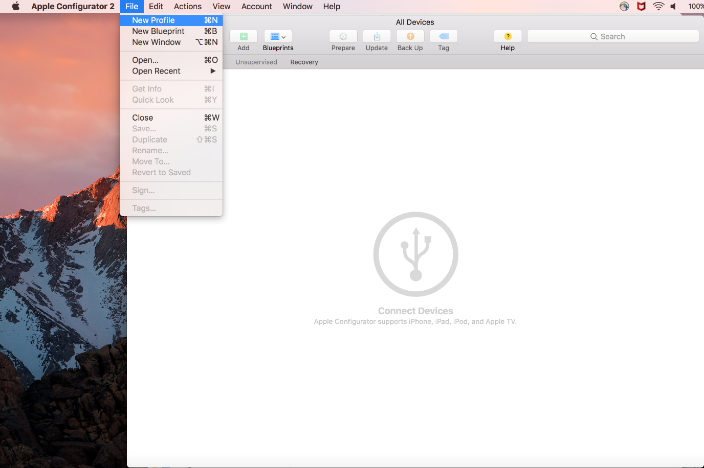 This figure shows the Configuration page for Profile and Web Clips. This figure shows the Configuration page for Profile and Web Clips.