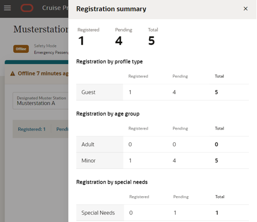 This figure shows the Registration Summary